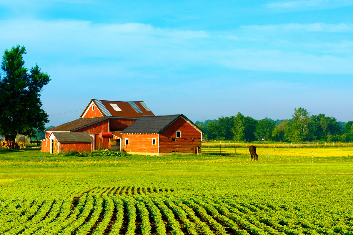 Barn on a Farm for Farm Succession Planning in Bowling Green, Ohio